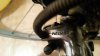 20160110_162921.jpg