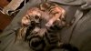 WP_20160104_23_45_47_Pro.jpg