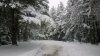 WP_20160208_004.jpg