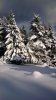 WP_20160210_016.jpg