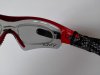 BDC_Varia_Vision_003.jpg