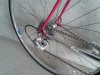De Rosa-5.jpg