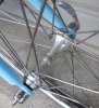 Campy ant4769.jpg