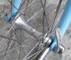 Campy ant4777.jpg