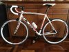 Olmo Deep4.JPG