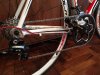 Olmo deep3.JPG