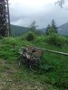 IMG_20160618_131023.jpg
