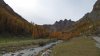P1000790.jpg