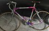 colnago.jpg