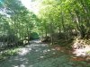 DSC00370.jpg