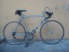 luglio2012 Atala 002.jpg