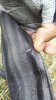 IMG_20160623_175801.jpg
