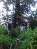 IMG_20160629_203717.jpg