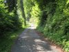 IMG_0456x.JPG