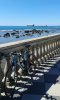 terrazza mascagni Livorno.jpg