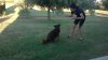 IMG-20160720-WA0006.jpg