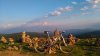 DSC_0014.jpg