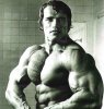 Arnold-Schwarzenegger-Physique-Success-1-e1441477616235.jpg