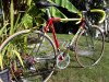 20160806_162623.jpg