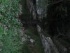 IMG_0693.jpg
