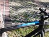 IMG_20160810_171733.jpg