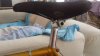 20160816_124036.jpg