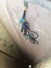 bici.jpg