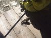 IMG-20160806-WA0028.jpg