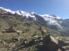 IMG-20160806-WA0044.jpg