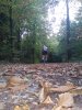 DSC_0294.jpg