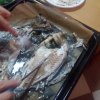 20161007_202330.jpg