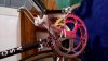 WP_20161008_006.jpg
