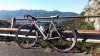 lynskey.jpg