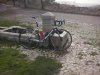 CAM00287.jpg