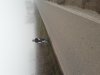 20161030_102909.jpg