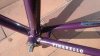 DSC_2083.jpg