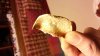 IMG-20161111-WA0020.jpg