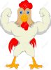 gallina.jpg