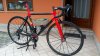 Colnago c60 2.jpg