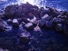 DSCN0187.JPG