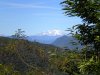 tn_DSCN0217.jpg