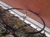 IMG-20161221-WA0008.jpg
