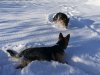IMG_20170107_145419.jpg