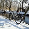 IMG_20170129_105805_848.jpg