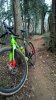 WP_20170219_11_22_10_Pro.jpg