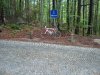 DSC03336.jpg
