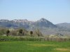 IMG_7996.JPG