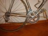 DSC06417.jpg