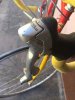 IMG-20170428-WA0004.jpg