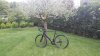 bici.jpg